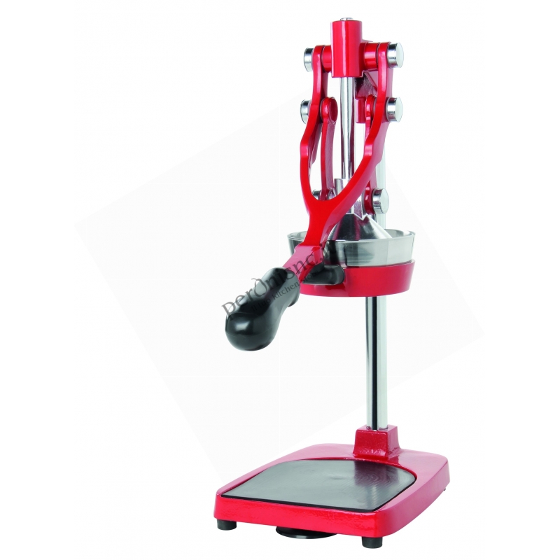 SHTRYDHESE SHEGE KASANOVA